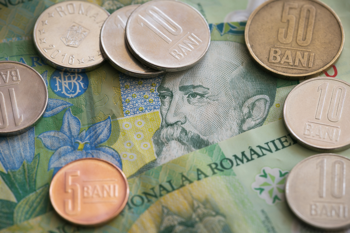 interesting currencies top ten facts romanian bani coin