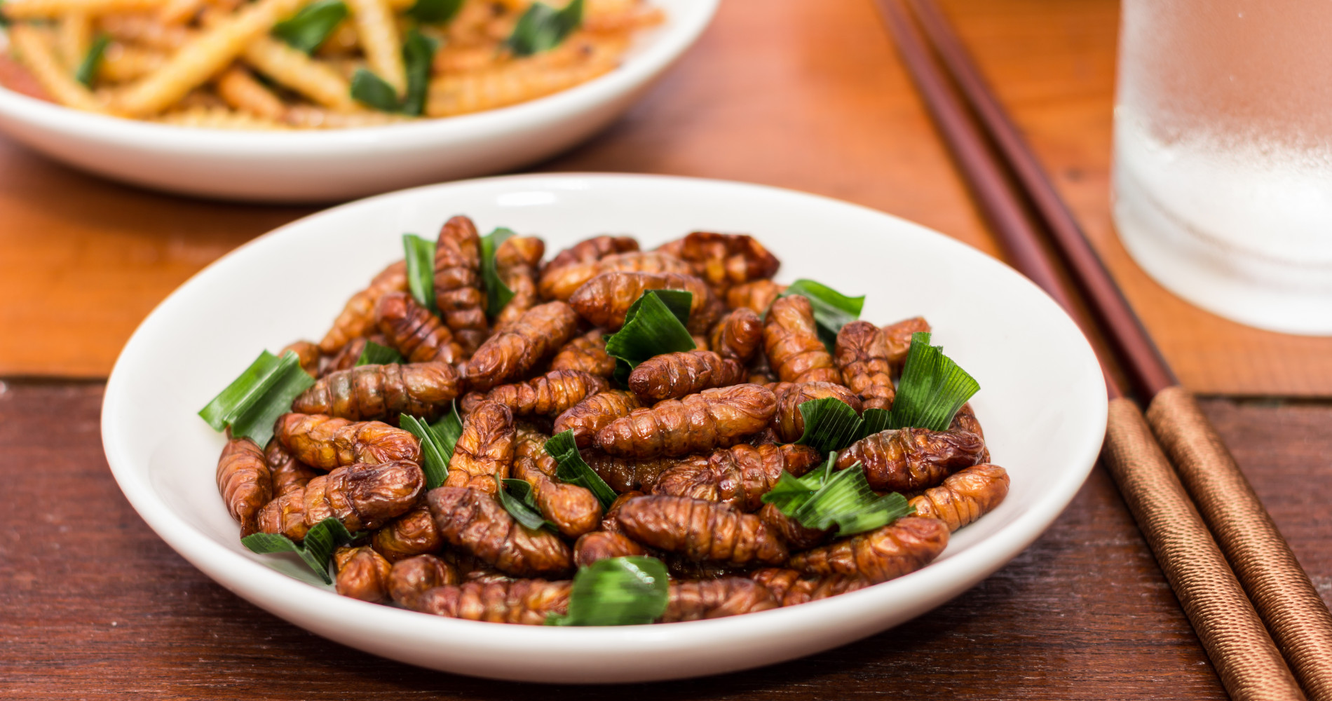 entomophagy - the practise of eating insects
